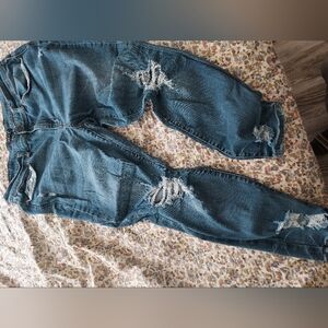 Judy Blue Plus Size 20W Skinny Fit